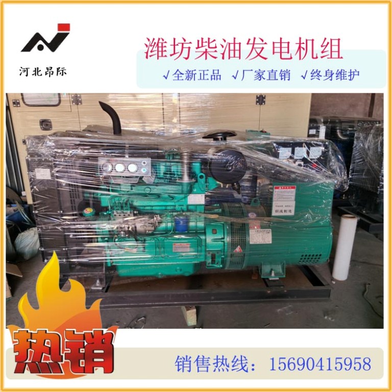 50kw diesel generator set